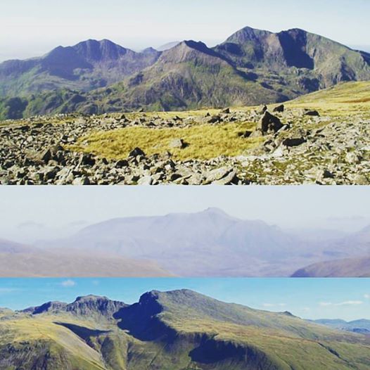 16299348_1294160777288656_9008440676273499428_n