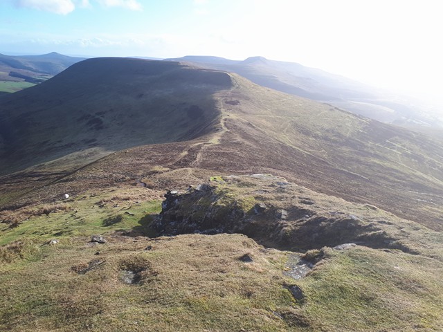 27583461_1645689682135762_1656753173_n